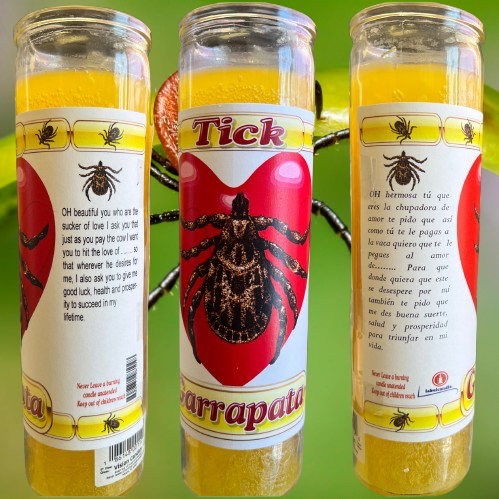 Tick