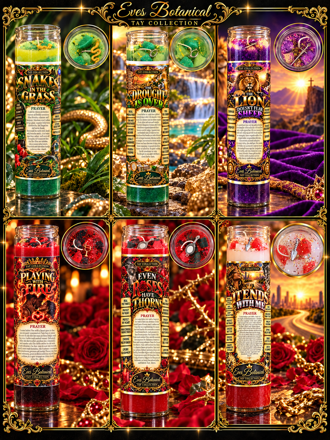 Tay Collection