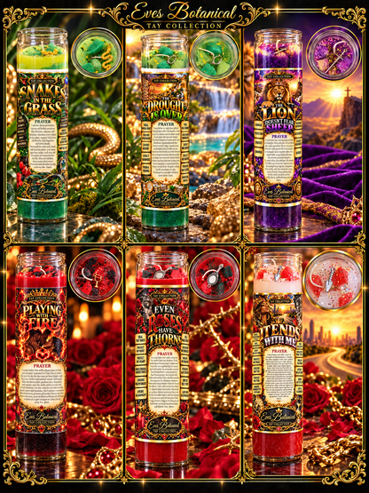Tay Collection