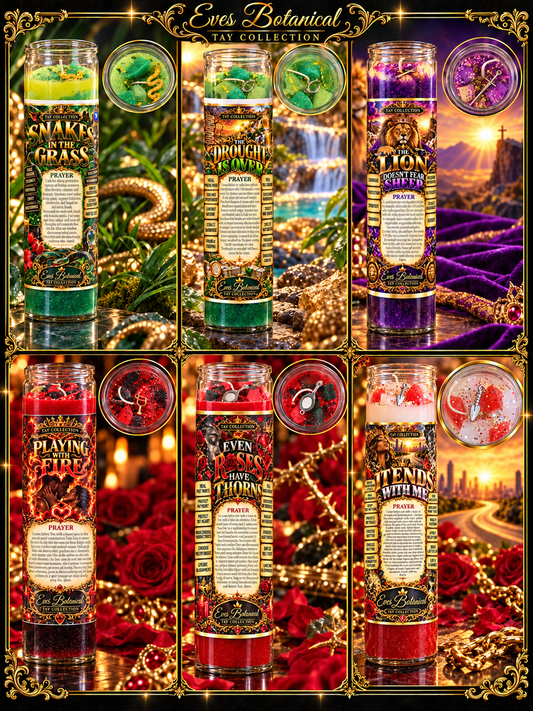 Tay Collection
